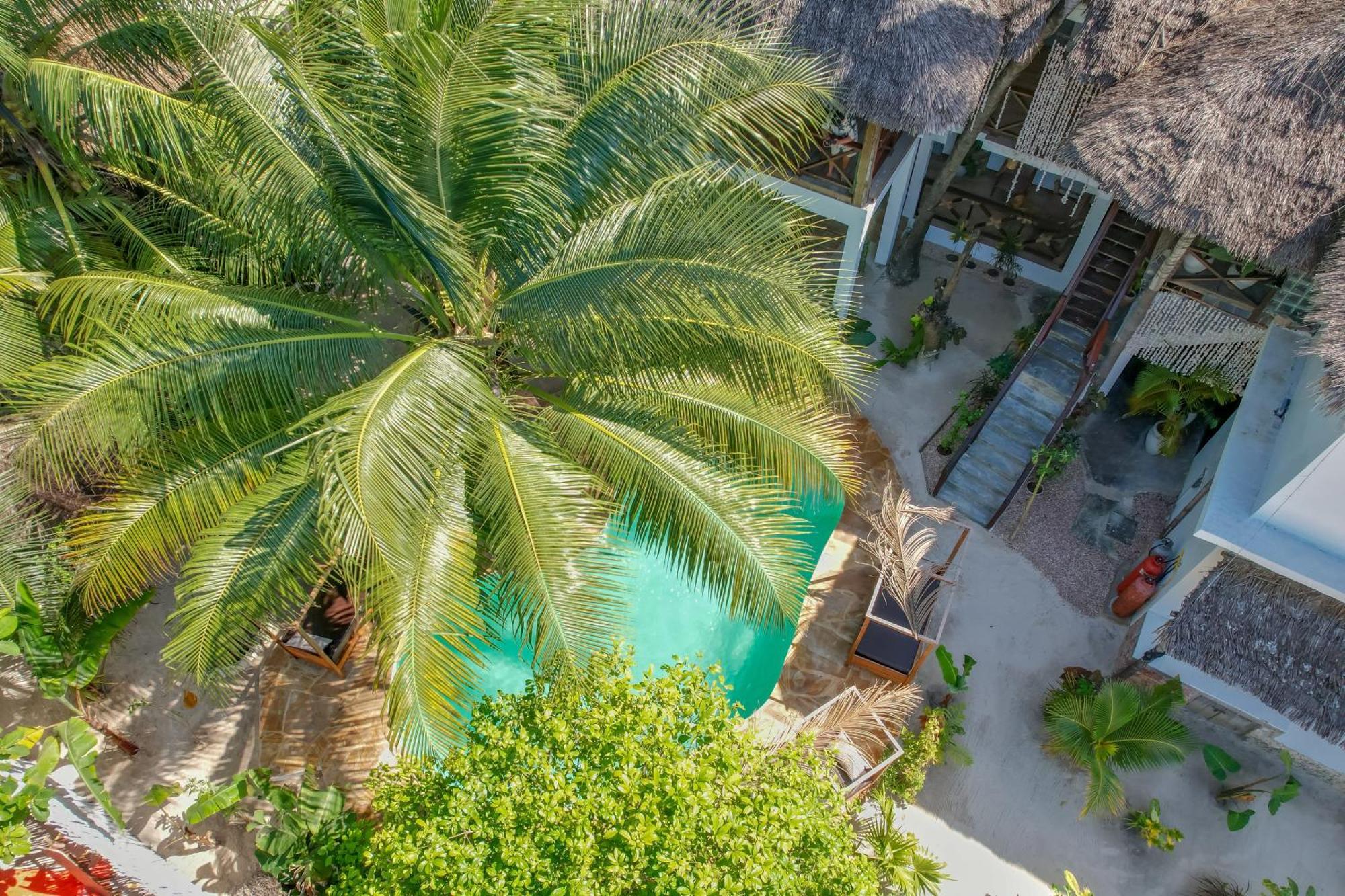 江比阿Ocean Boho House住宿加早餐旅馆 外观 照片